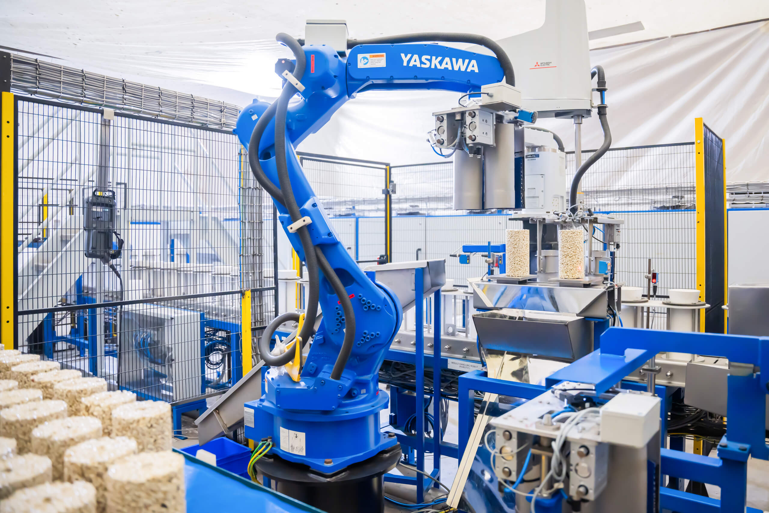 Solutions_Carton Palletizer
